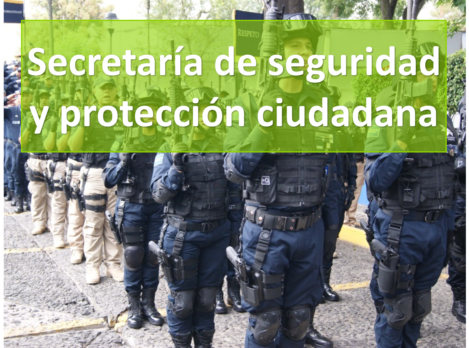 SECRETARIA DE SEGURIDAD Y PROTECCIÓN CIUDADANA 